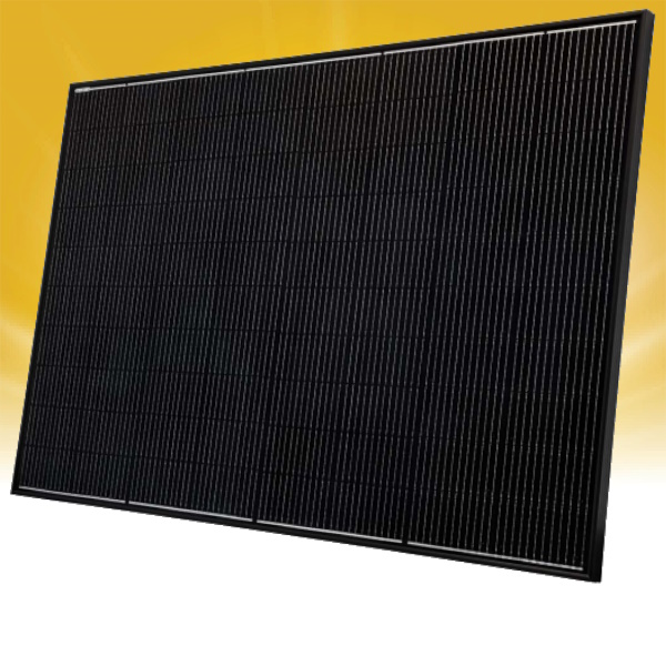 Heckert Solar NeMo® 4.2 80M BLACK - 395 Wp