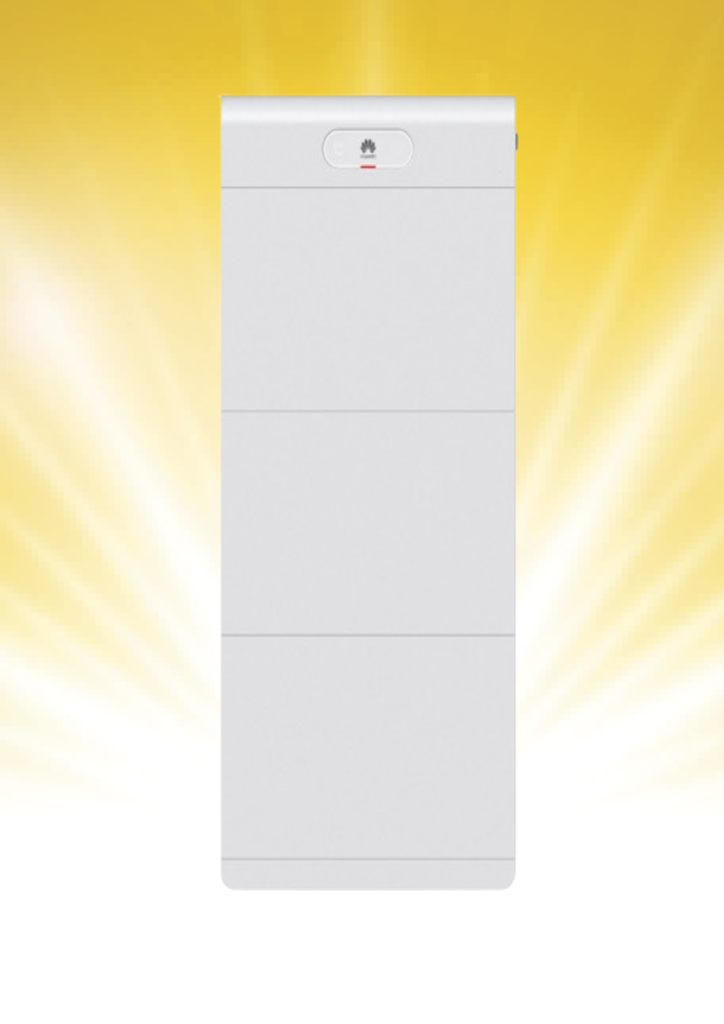 HUAWEI LUNA2000-21-S1
