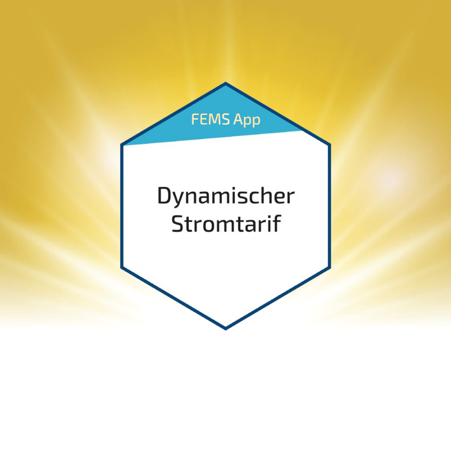 FEMS App für Dynamischer Stromtarif (FEM818)